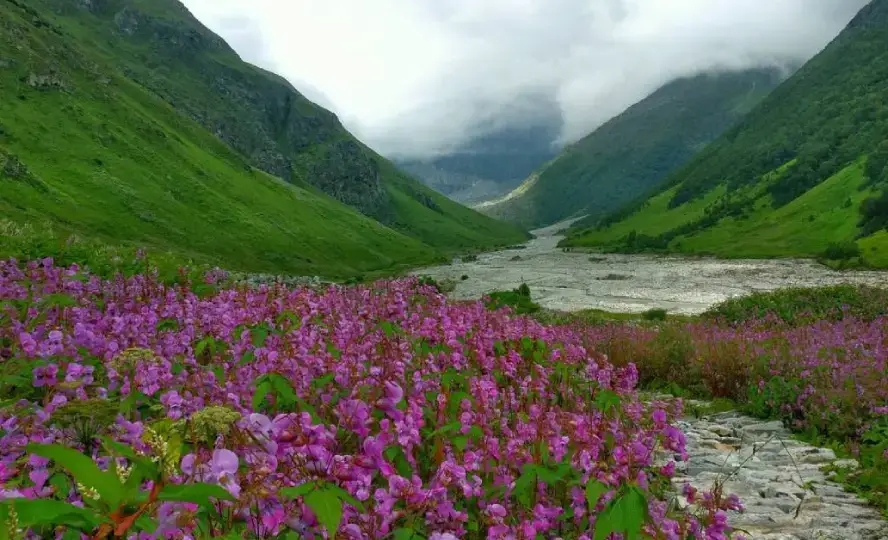 valley
