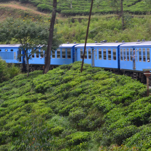 Train Ride