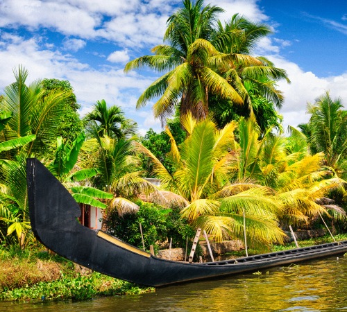Witness the Snake Boat Race
