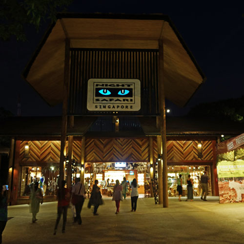 Night Safari